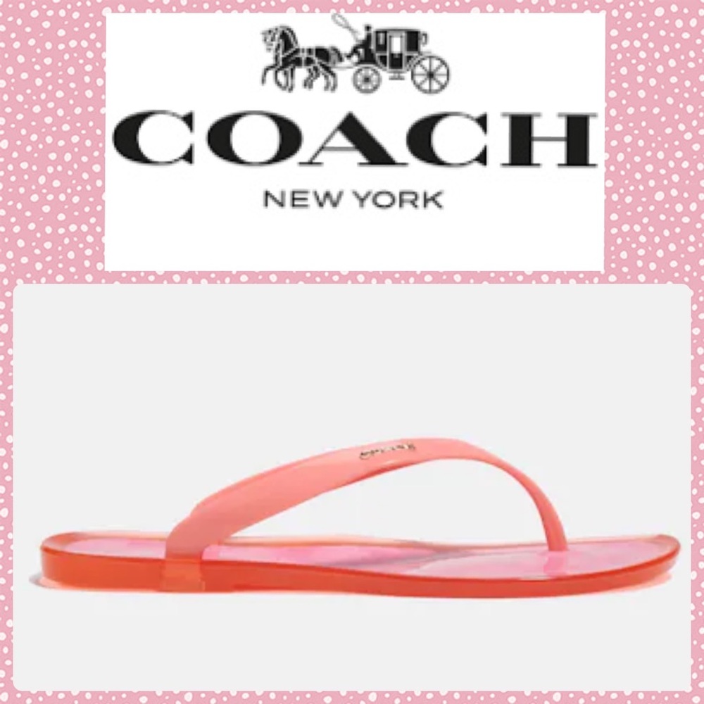 🆕 Coach jelly sandals